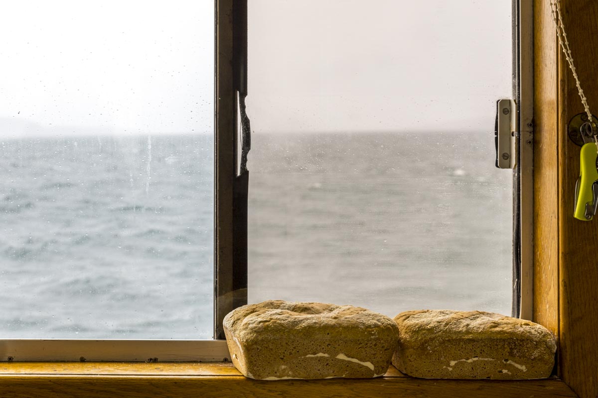 Western Isles Scotland - Proud Seahorse - June 17, 2017