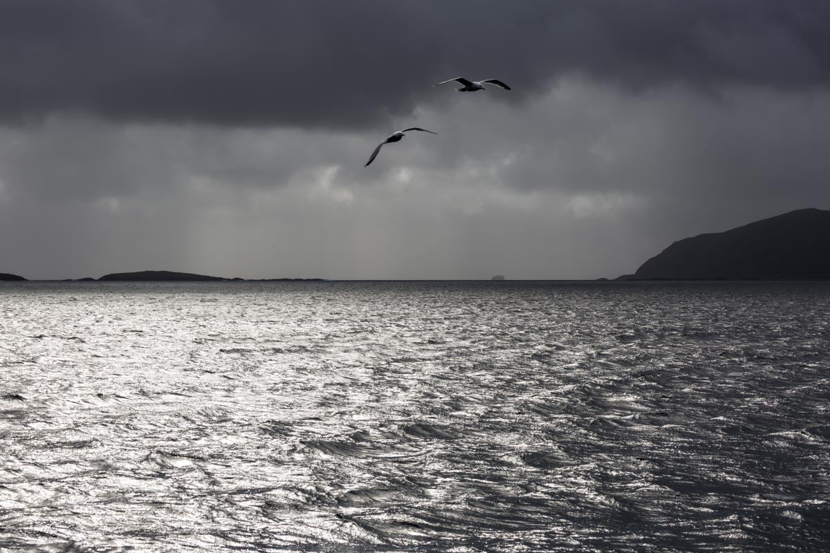 Exhibitions and Awards - 2017 - Riverside Gallery, Richmond - Scotland