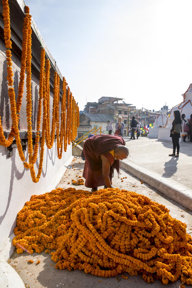 Nepal Sailung - Buddhist monk and marigold garlands on the Boudhanath Stupa in Kathmandu - November 14, 2017