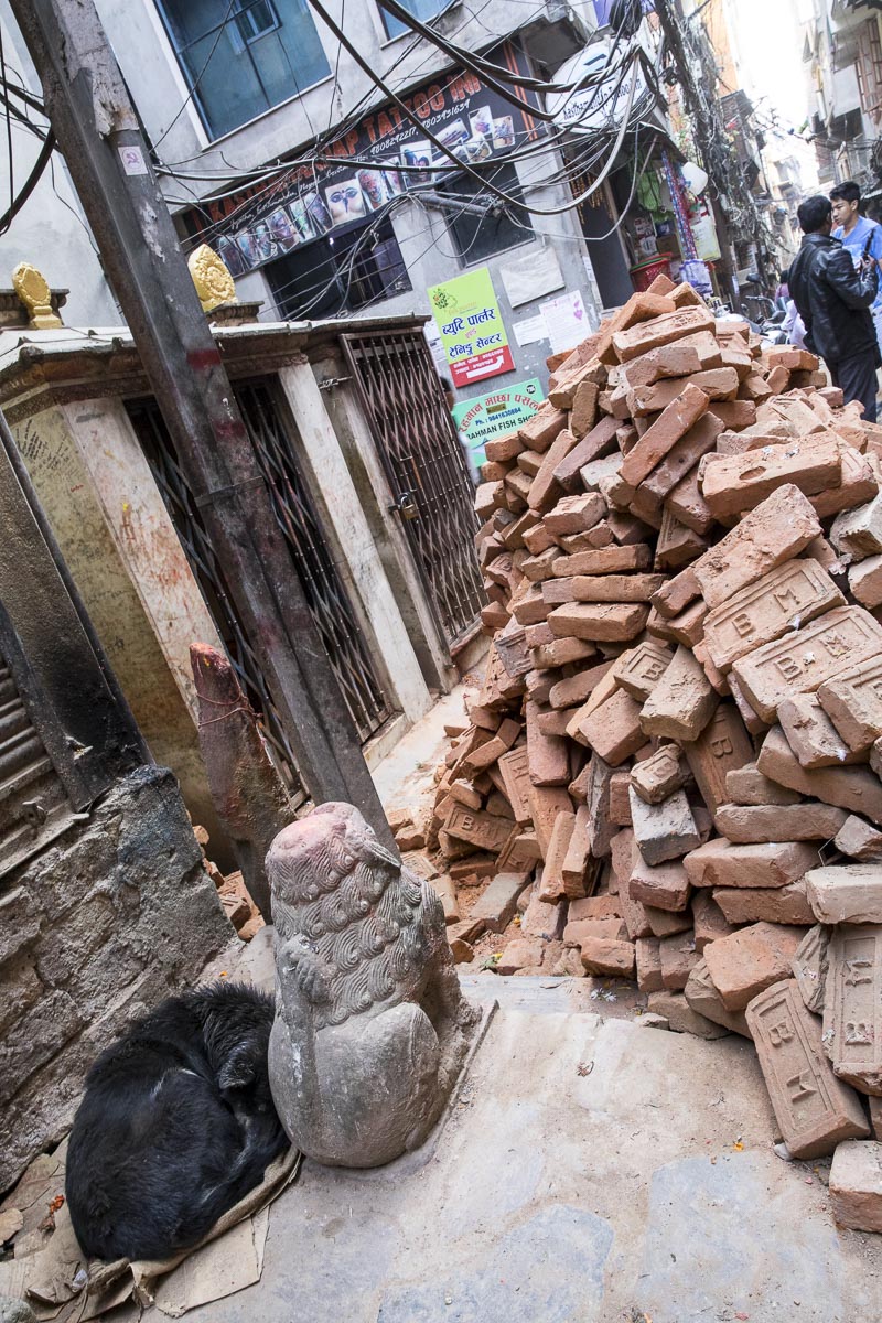 Nepal Sailung - Street dog asleep in Thamel, Kathmandu - November 14, 2017