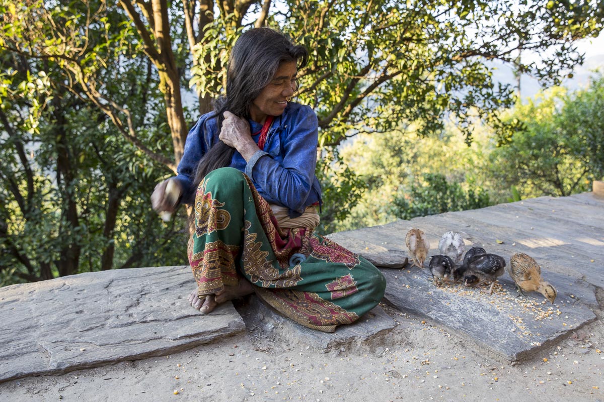 Nepal Sailung - Local woman and chicks in Teksingh village - November 8, 2017